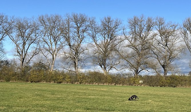 Wieder freundlicheres Herbstwetter (Foto: oas)