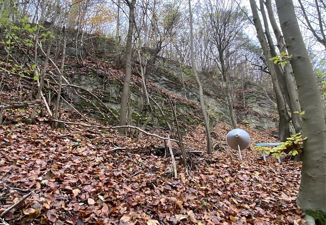 Herbstlicher Wald zwischen Rottleben und Frankenhausen (Foto: Wolfgang Lehmann) Herbstlicher Wald zwischen Rottleben und Frankenhausen (Foto: Wolfgang Lehmann)