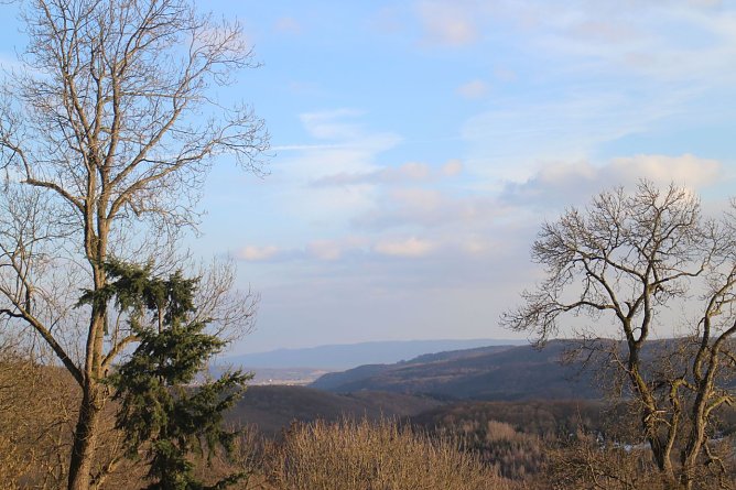 Wetterbild (Foto: agl)