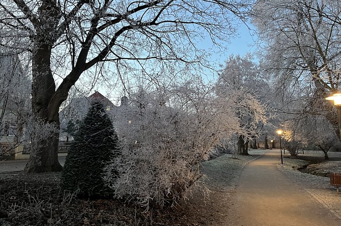 Weitere Nachtfröste bescheren ein winterliches Bild am Morgen (Foto: oas) Weitere Nachtfröste bescheren ein winterliches Bild am Morgen (Foto: oas)