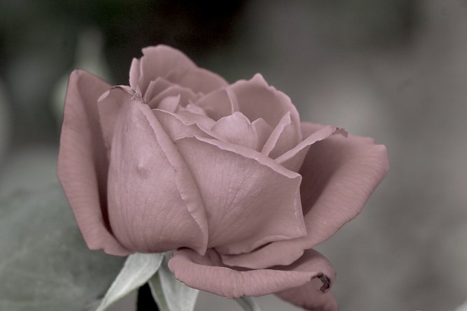 Symbolbild  (Foto: emw)