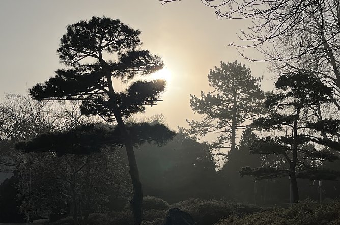 Auch die zweite Märzhälfte wartet mit Nachtfrösten auf (Foto: oas) Auch die zweite Märzhälfte wartet mit Nachtfrösten auf (Foto: oas)