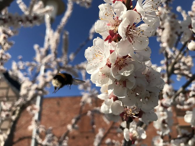 Wetterbild (Foto: agl) Wetterbild (Foto: agl)