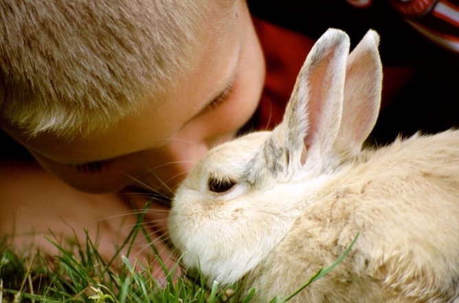 Zwiegespräch mit Hoppeline (Foto: Eva Maria Wiegand) Zwiegespräch mit Hoppeline (Foto: Eva Maria Wiegand)