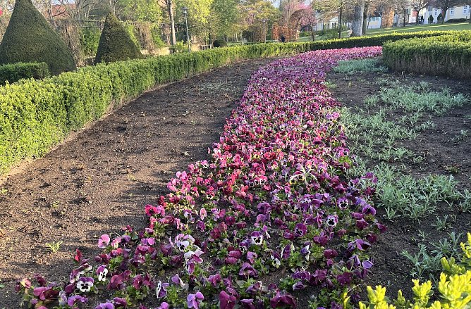 Frühlingshafte Temperaturen bei wechselhaftem Wetter (Foto: oas) Frühlingshafte Temperaturen bei wechselhaftem Wetter (Foto: oas)