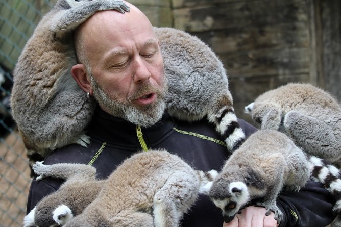 Affenvater im Affentheater: Silvio Dietzel und seine hungrigen Freunde (Foto: Eva Maria Wiegand) Affenvater im Affentheater: Silvio Dietzel und seine hungrigen Freunde (Foto: Eva Maria Wiegand)