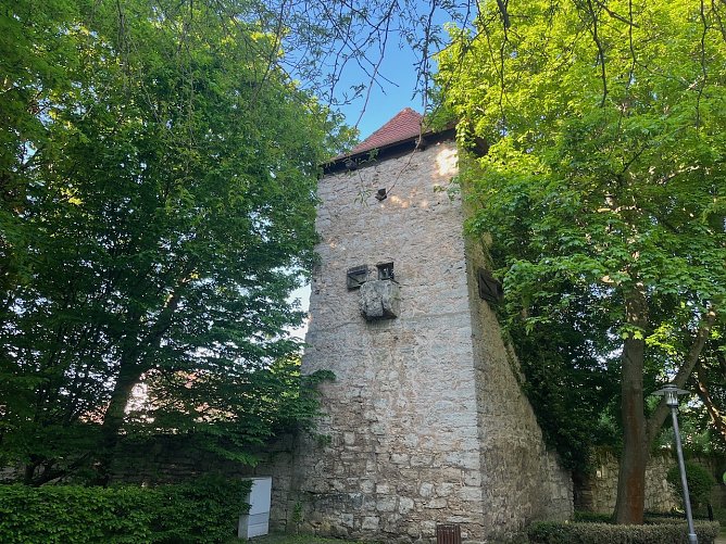 Frühlingssonne im Kurpark (Foto: oas) Frühlingssonne im Kurpark (Foto: oas)