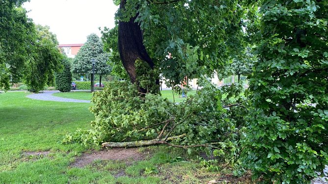Der Sturm der letzten Tage richtete einige Sch&auml;den an (Foto: emw)