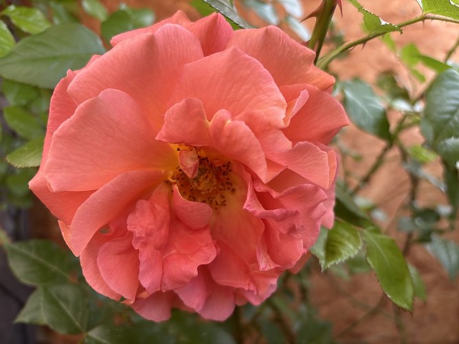 Die Wetterlage bleibt gewittrig (Foto: oas)