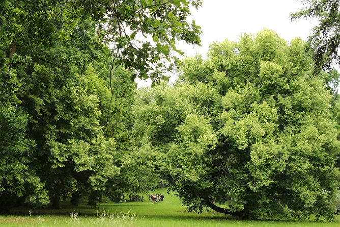 Wetterbild (Foto: agl)