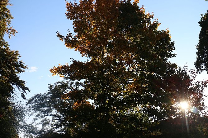 Wetterbild (Foto: agl) Wetterbild (Foto: agl)