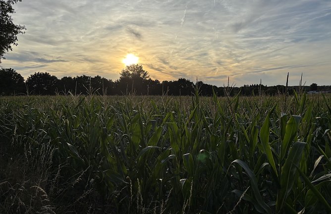 Die nächsten Tage werden regnerisch (Foto: oas) Die nächsten Tage werden regnerisch (Foto: oas)