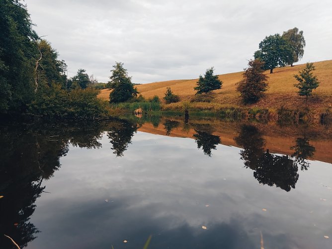 2. Fischteiche Helenenhof (Foto: Ramona Fischer)