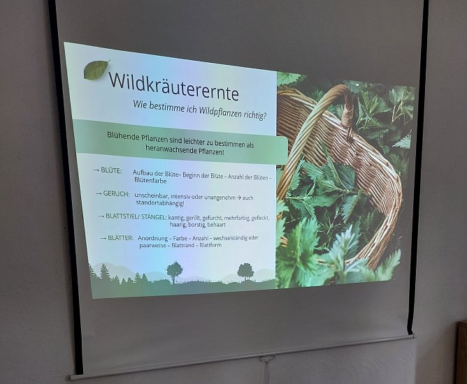 Seniorentreff und die Wildkr&auml;uter in Sondershausen-Jecha (Foto: Gudrun Dittrich)