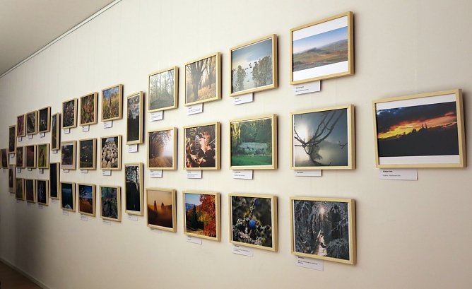 Für die Ausstellung sind schon einige Bilder zusammengekommen (Foto: LPV Südharz/ Kyffhäuser ) Für die Ausstellung sind schon einige Bilder zusammengekommen (Foto: LPV Südharz/ Kyffhäuser )