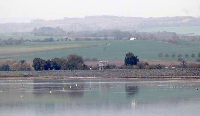 Gefl&uuml;gelpest am Stausee Kelbra festgestellt  (Foto: emw)