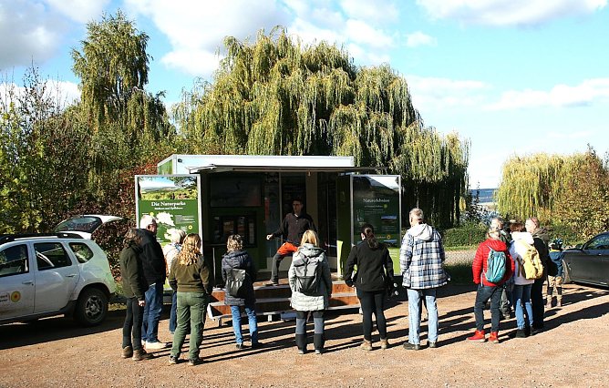Ad hoc Vortrag zur Vogelwelt am Stausee Kelbra (Foto: Ulrich Reinboth)
