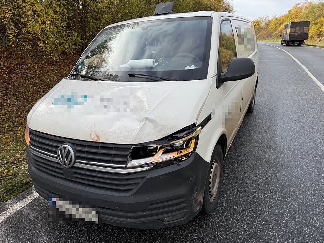 Wildunfall heuet Vormittag (Foto: S.Dietzel) Wildunfall heuet Vormittag (Foto: S.Dietzel)