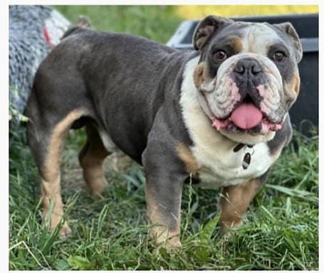 Wo ist Günther? (Foto: LPI) Wo ist Günther? (Foto: LPI)