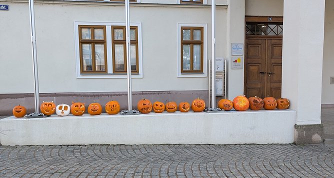 Jeder K&uuml;rbis ein Unikat (Foto: Janine Skara)