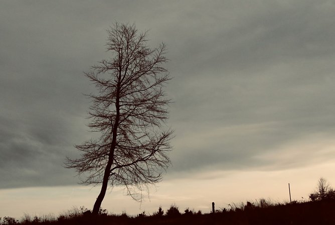 Wetterbild (Foto: agl) Wetterbild (Foto: agl)