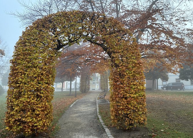 Weiter ruhiges Herbstwetter (Foto: oas) Weiter ruhiges Herbstwetter (Foto: oas)