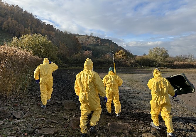 Mitarbeiter der Kreisverwaltung bei der Suche nach verendeten Wildv&ouml;geln am Stausee Kelbra (Foto: Landratsamt Kyffh&auml;userkreis - Andrea Hellmann)