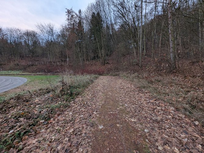      Die alte Weitsprunggrube l&auml;sst nur erahnen, dass hier einmal Weitsprung m&ouml;glich war.     (Foto: Janine Skara)