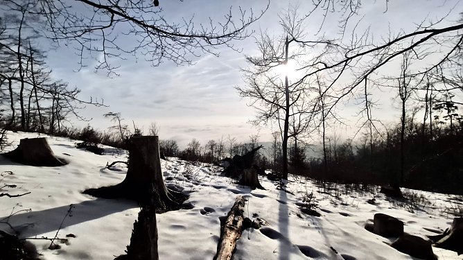 Frostiger Sonnentag am Roten Schuss bei Ellrich (Foto: agl) Frostiger Sonnentag am Roten Schuss bei Ellrich (Foto: agl)