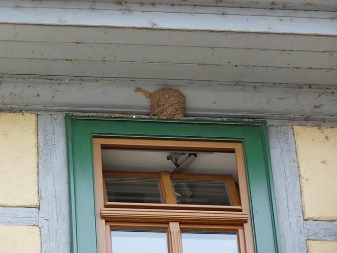 Tierisch gut (Foto: Karl-Heinz Herrmann)