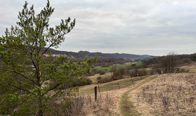 Symbolbild stürmisches Wetter (Foto: ssc) Symbolbild stürmisches Wetter (Foto: ssc)