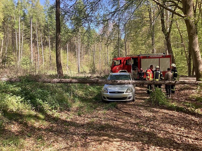 Das Auto hat einen Totalschaden. (Foto: Feuerwehr Schernberg/Silvio Dietzel)
