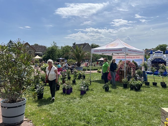 Wie im vergangenen Jahr ist auch das Europa-Rosarium wieder mit in Bendeleben vertreten. (Foto: Gemeinde Kyffh&auml;userland)