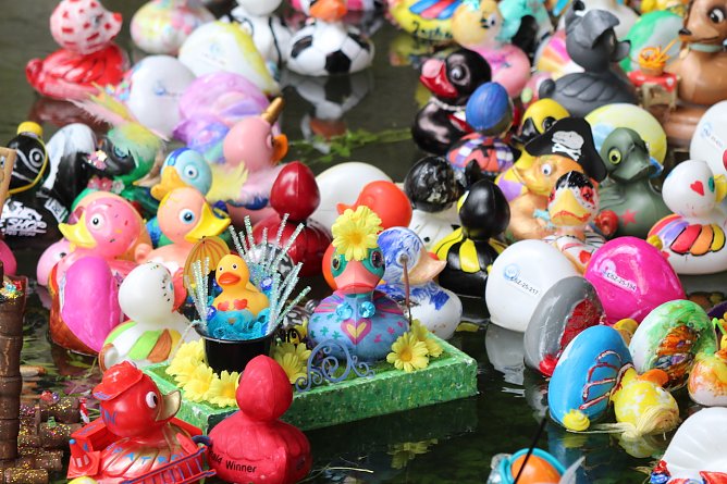 Viele schöne bunte Kunstwerke beim Entenrennen 2025 in Bad Langensalza (Foto: Eva Maria Wiegand) Viele schöne bunte Kunstwerke beim Entenrennen 2025 in Bad Langensalza (Foto: Eva Maria Wiegand)