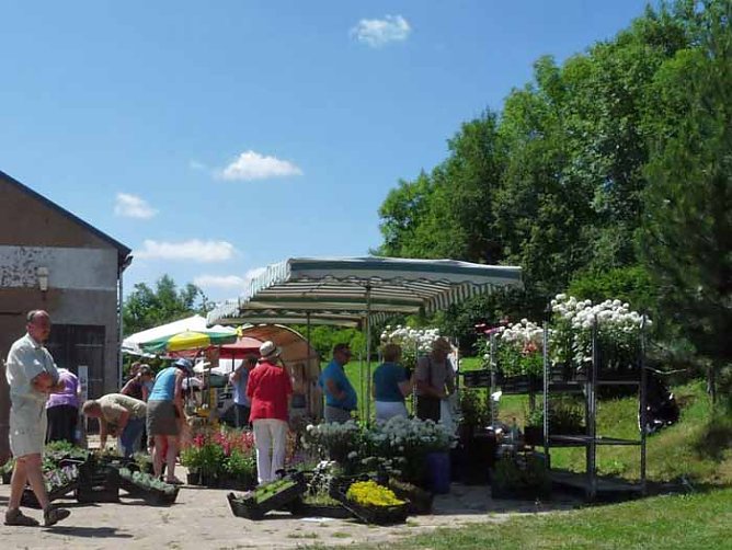 Kräuterfest in friedrichsrode (Foto: Kunsthof Friedrichsrode) Kräuterfest in friedrichsrode (Foto: Kunsthof Friedrichsrode)