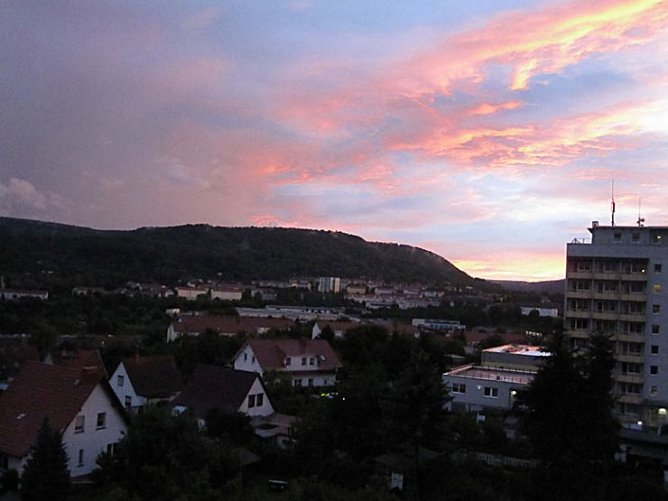 Orangefarbene Welt (Foto: Kathleen Schuler)