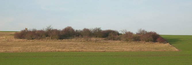 Gebiet ehemalige Schachtanlage (Foto: Karl-Heinz Herrmann) Gebiet ehemalige Schachtanlage (Foto: Karl-Heinz Herrmann)