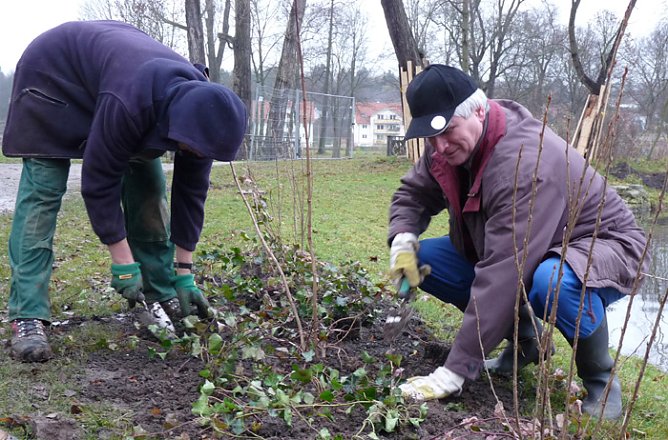 Selle im Landschaftsbau (Foto: Karl-Heinz Herrmann)