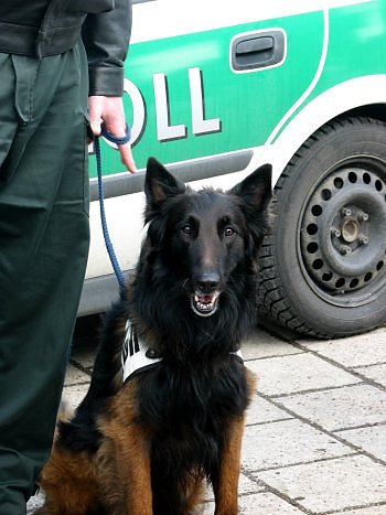 Mitgemacht (Foto: Wooly) Mitgemacht (Foto: Wooly)