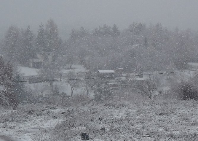 Weihnachtsbaum (Foto: Karl-Heinz Herrmann) Weihnachtsbaum (Foto: Karl-Heinz Herrmann)