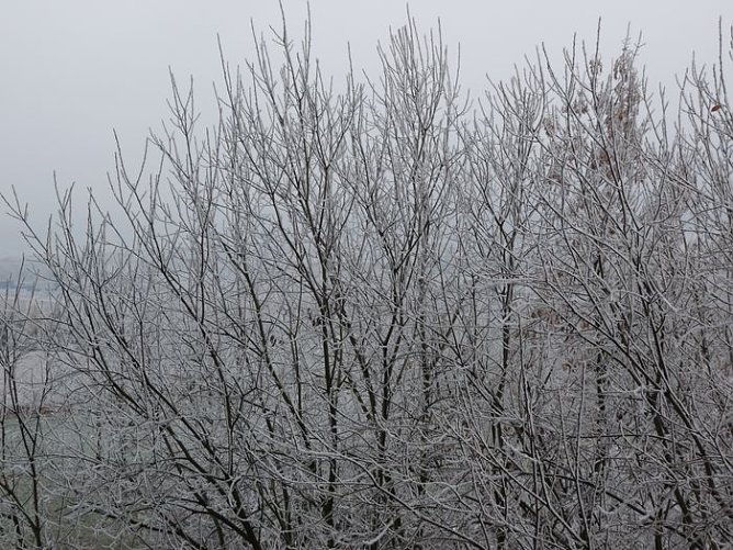 Start in den Advent (Foto: Karl-Heinz Herrmann)