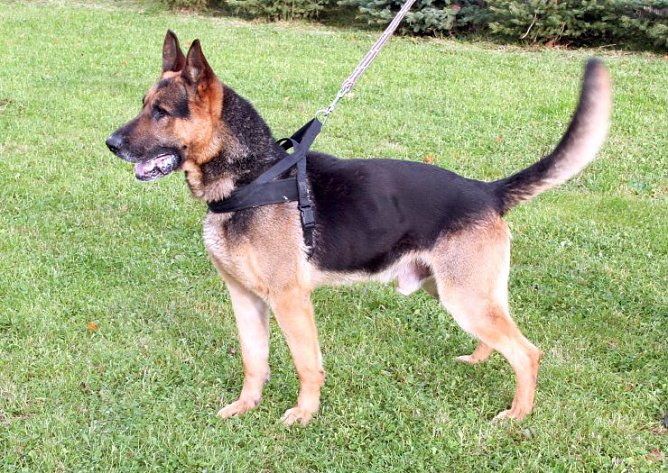 Noch zu haben (Foto: Hellberg) Noch zu haben (Foto: Hellberg)