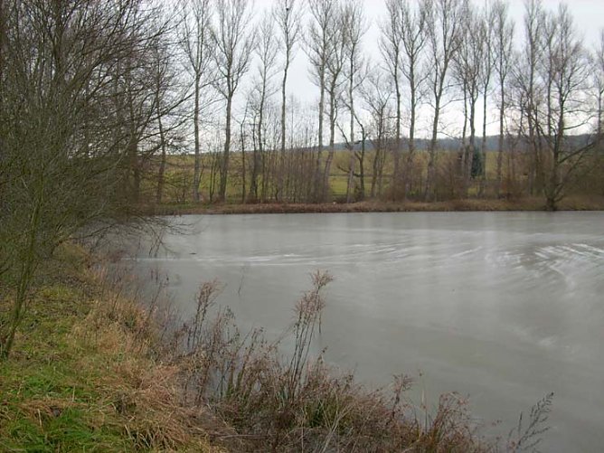 Zugefrorener Hammateich (Foto: Karl-Heinz Herrmann)