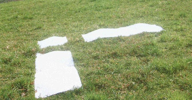 Seltsame Zeichen (Foto: Landratsamt Kyffhäuserkreis) Seltsame Zeichen (Foto: Landratsamt Kyffhäuserkreis)