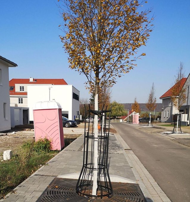 Bild: Barrierefreiheit in Sondershausen fehlt immer noch an vielen Stellen