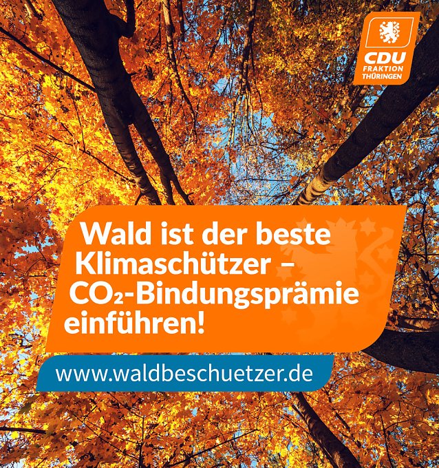 Bild: CDU-Fraktion startet Baumpflanzkampagne