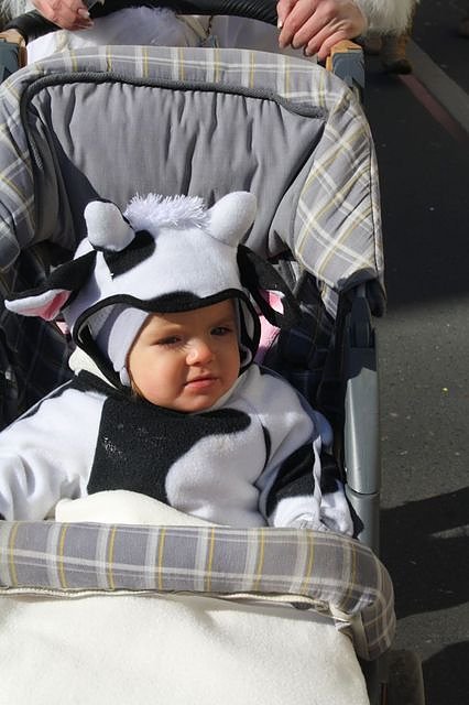 Rosenmontagsgesichter