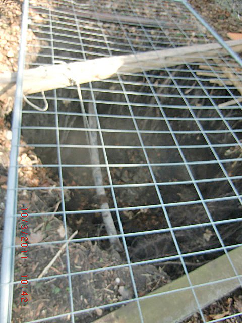 Erdfall Bad Frankenhausen