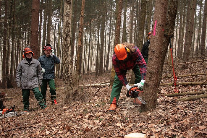 Motors&auml;genlehrgang im Forstamt Oldisleben