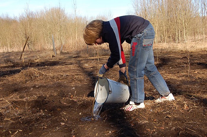 Baumpflanzung am Kyffh&auml;user